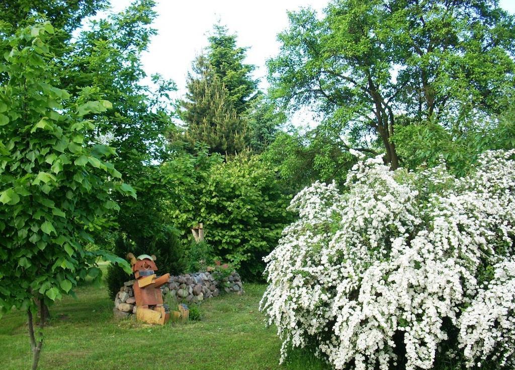 Ferienwohnung Marienkaefer Wulkow  Esterno foto